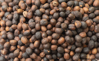 Roasted coffee beans ready for home grinding-3.jpg.