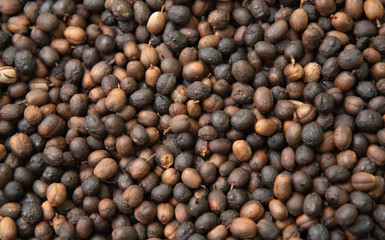 Roasted coffee beans ready for home grinding-3.jpg.