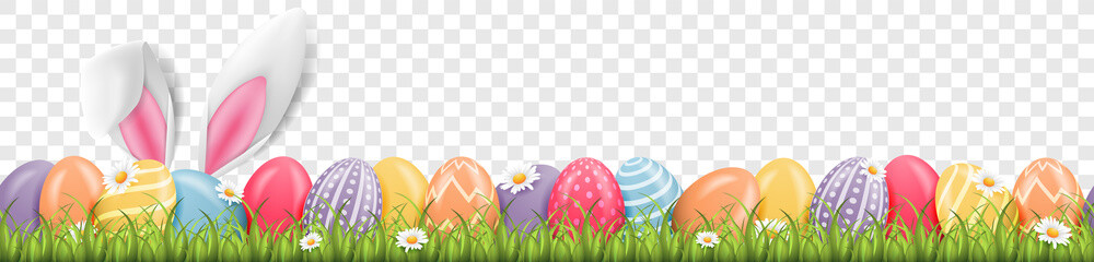 Easter bunny ears with easter eggs on meadow with flowers background banner transparent