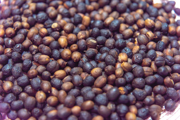 Roasted coffee beans ready for home grinding-3.jpg.