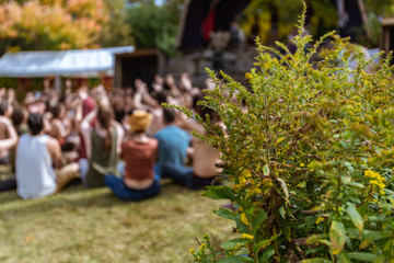 A close up selective focus shot of a green bush at a festival celebrating earth and culture, blurry people are seen sitting in a forest clearing