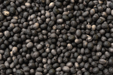Roasted coffee beans ready for home grinding