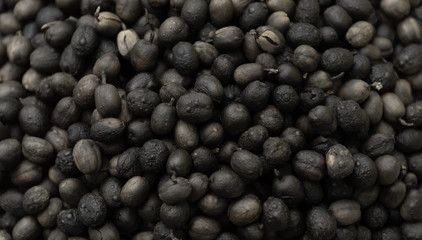 Roasted coffee beans ready for home grinding-3.jpg.