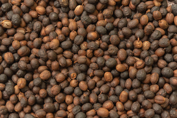 Roasted coffee beans ready for home grinding