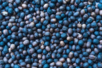 Roasted coffee beans ready for home grinding