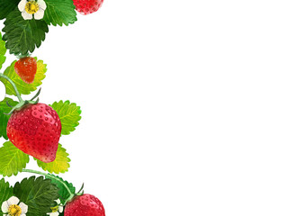 いちご　イラスト　フレーム