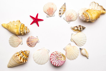 Sea Shells, starfish in shape frame. Trendy natural organic color Hello summer background concept. Top view with copy space