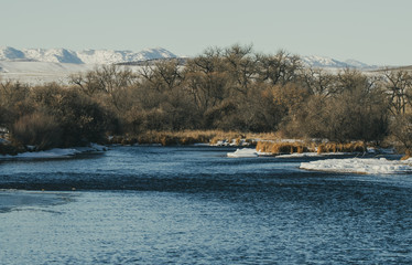 landscape with lake and trees