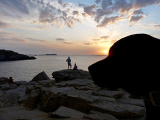 Ibiza Town in Ibiza - IBZ