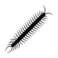 Centipede silhouette vector, insect illustration