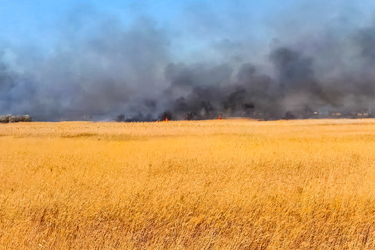 Steppe fire. Burning dry grass, fire smoke
