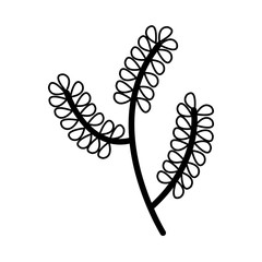 branch with ecology leafs plant