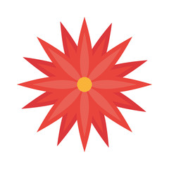 beautiful flower nature isolated icon