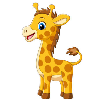 Cartoon little giraffe on white background