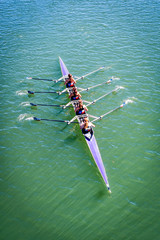 Female women rowing crew sculling purple boat on green lake in sun with Texas flags