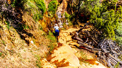 Woman hiking and hugging the Rock Wall along the Canyon Overlook Trail in Zion National Park, Utah, United States