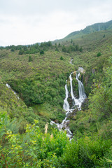 Waipungu Waterfall deep in New Zealand bush just off Napier Taupo highway, New Zealand