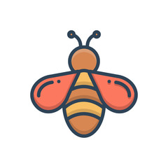 Color illustration icon for bee
