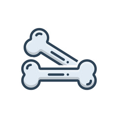 Color illustration icon for bone