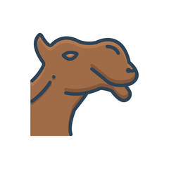 Color illustration icon for camel 