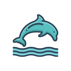 Color illustration icon for dolphin 