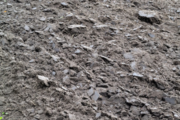 Land prepared for sowing. Plowed brown earth. Rural and agriculture concept. Spring mood.