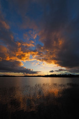 Colorful sunrise over Nine Mile Pond in Everglades National Park, Florida reflected in tranquil water of pond with stand of reeds in foreground.