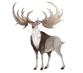 学名はメガロケロス・ギガンテウス。オオツノジカと呼ばれる。マンモスや毛サイと並び氷河期に栄え、絶滅した大型哺乳類。7700万年から200万年前この巨大なシカはユーラシア大陸の北部で繁栄していた。シベリアだけでなく、アイルランドの泥炭地からも数多くの化石が見つかっており、アイリッシュオオツノジカと呼ばれることもある。体長は3.1メートル。巨大な枝角の後枝は差し渡し3.8メートルと体長を超える。