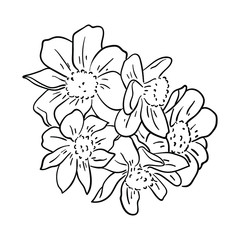 Vector Illustration Group Flower line drawing 