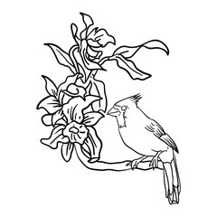 Vector Illustration Flower with Bird line drawing