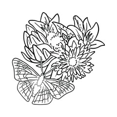 Vector Illustration Flower with Butterfly line drawing