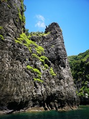 Kalksteinfelsen Ko Phi Phi Krabi