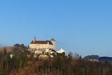 Fototapeta na wymiar Burg Krumbach