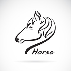 Vector of freehand horse head painting on white background. Wild Animals. Easy editable layered vector illustration.