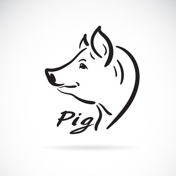Vector of freehand pig head painting on white background. Farm animals. Pig head logo or icon. Easy editable layered vector illustration.