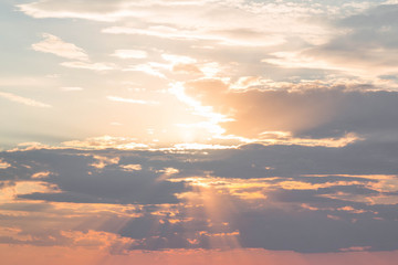 Obraz premium dark clouds at sunset and wheat field