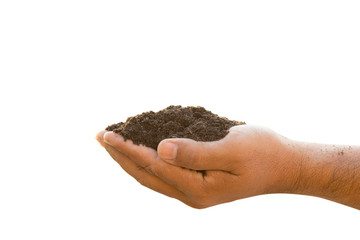 Hand holding mixed soil for plant isolated on white background