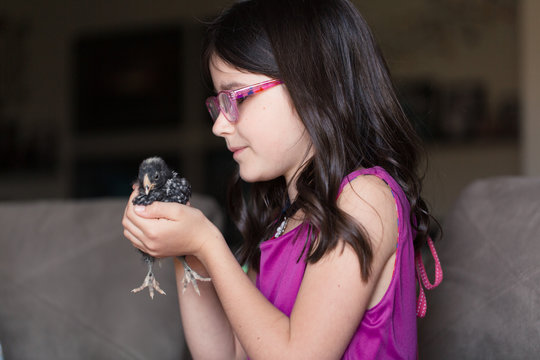 A young girl is holding a baby chicken on Easter during spring.