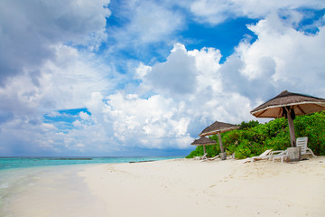 Maldive Sand Beach and green palm foliage view