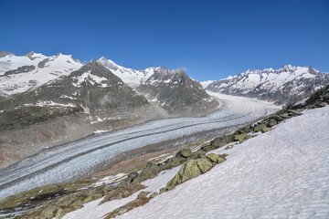 The Aletsch glacier near Bettmeralp in the Swiss alps on a sunny day