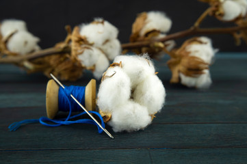 Natural cotton bolls with reel of blue yarn