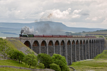 Steam Engine crosses Viaduct