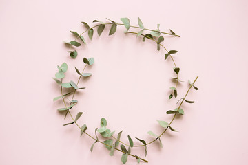 Spring frame from eucalyptus on a pink background, flat, top view