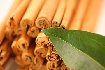 ceylon cinnamon sticks wholesale packaging
