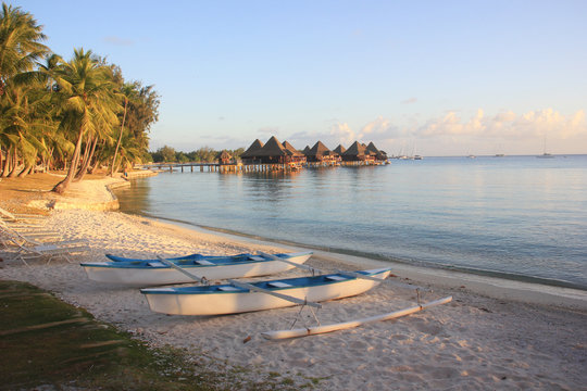 Beach In Rangiroa French Polynesia