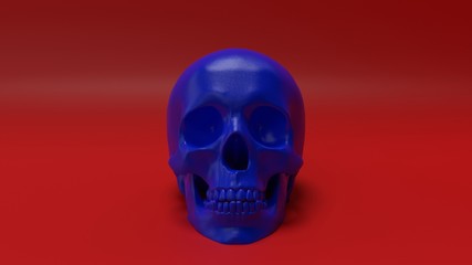 high poly anatomically correct render of human skull