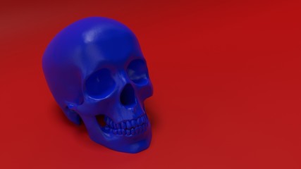 high poly anatomically correct render of human skull