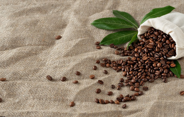 Coffee beans in a bag are scattered on a burlap background. Near coffee leaves. Coffee background with grains and blank space for text