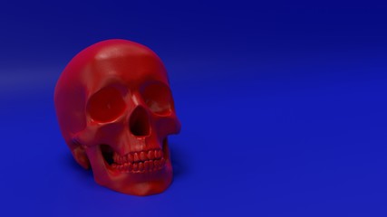 high poly anatomically correct render of human skull