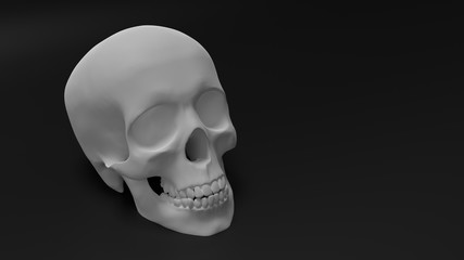 high poly anatomically correct render of human skull